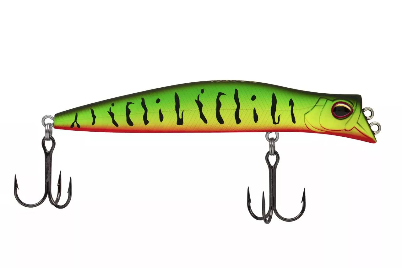 POCKY Minnow
